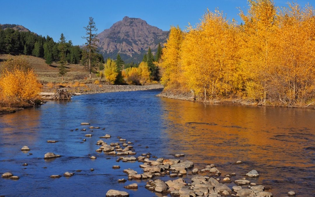 Camping in Yellowstone’s Fall Color