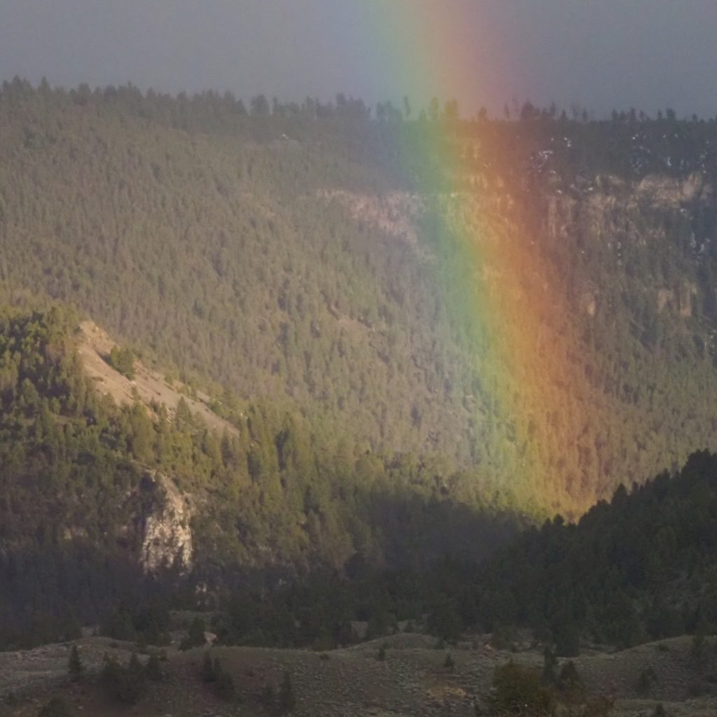rainbow in Yellowstone 