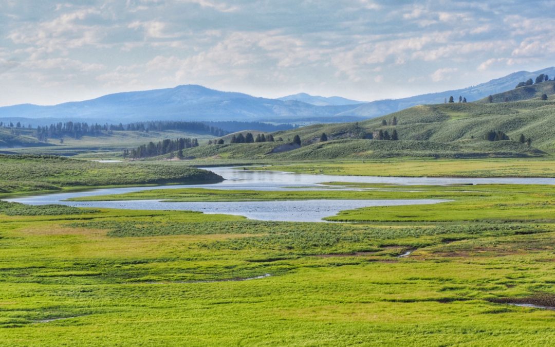 Camping at Yellowstone Lake in July