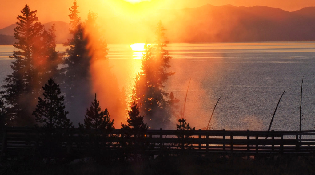 sunrise west thumb geyser basin through trees