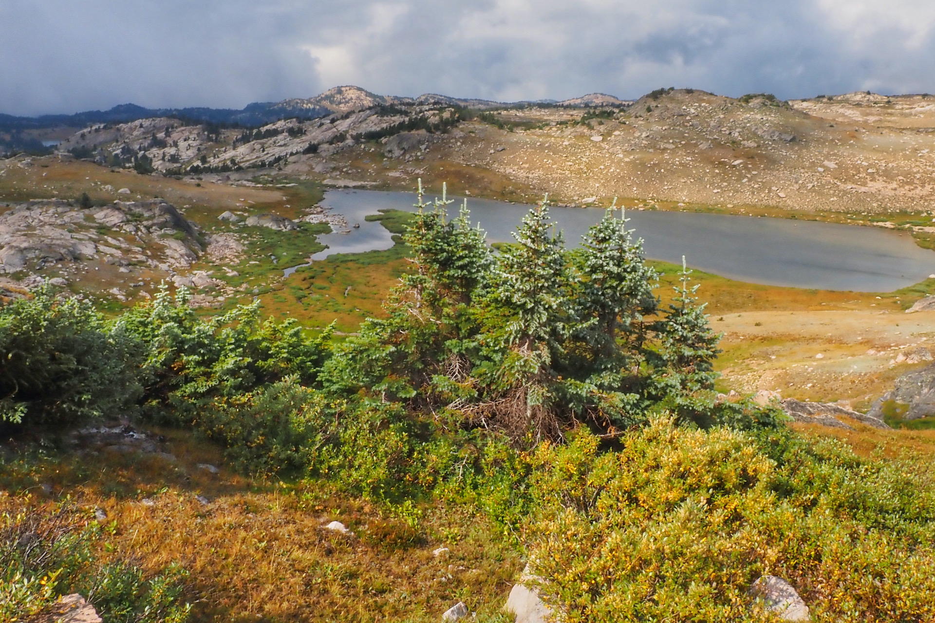 autumn arrives in the Beartooths Montana