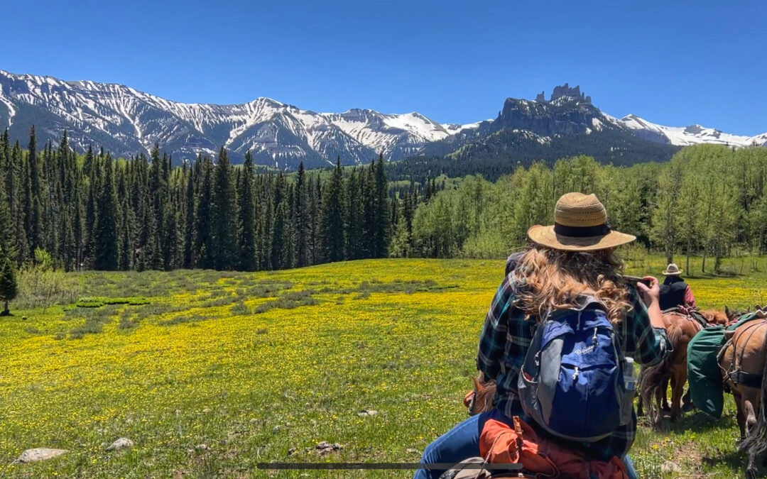 Horse Packing And Art In The Colorado High Country