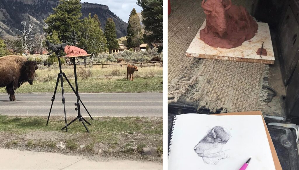 Sculpture Update Bison Cow and Calf From Life George Bumann