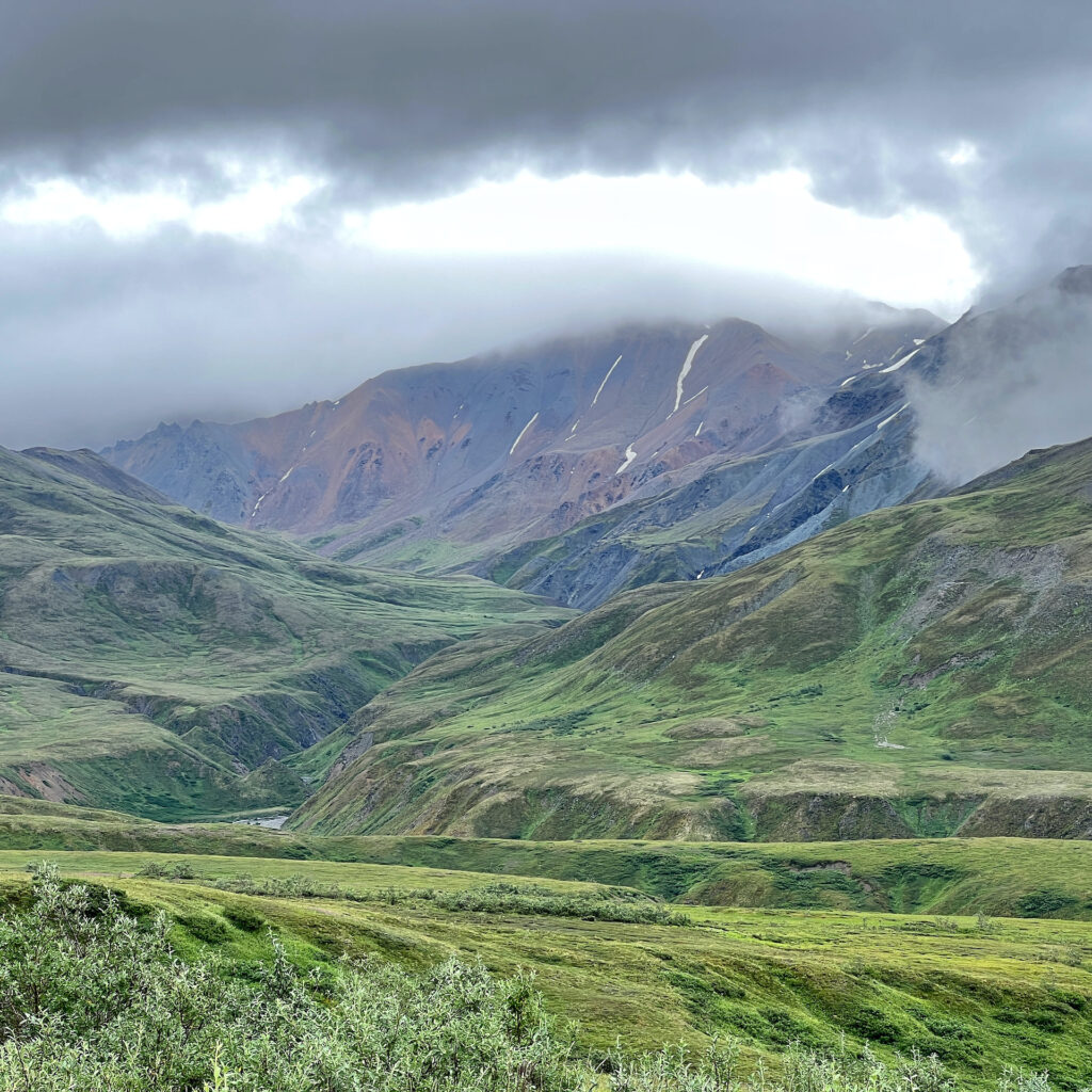 textures in the tundra Denali National Park