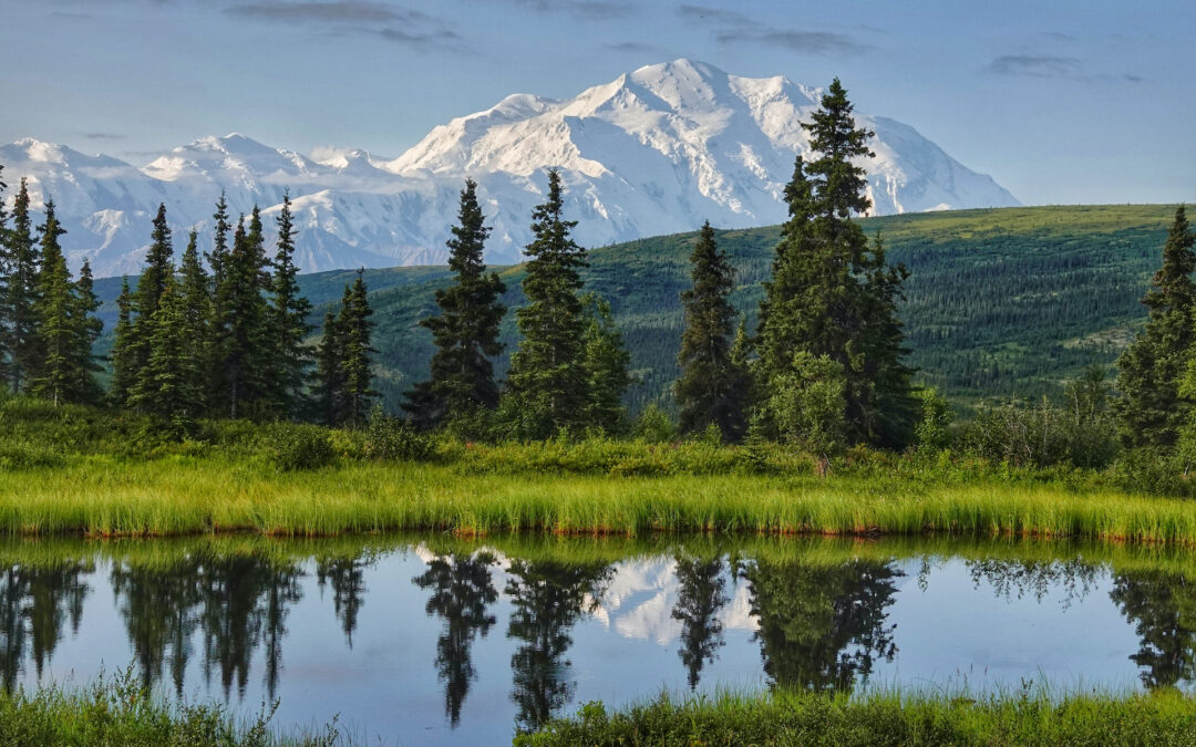 Denali Peak from Camp Denali Nugget Pond