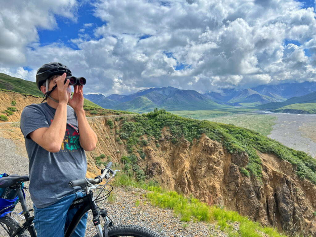 Biking in Denali National Park