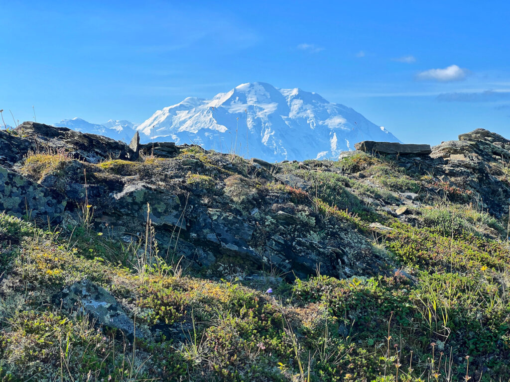 Denali rising above the mountains