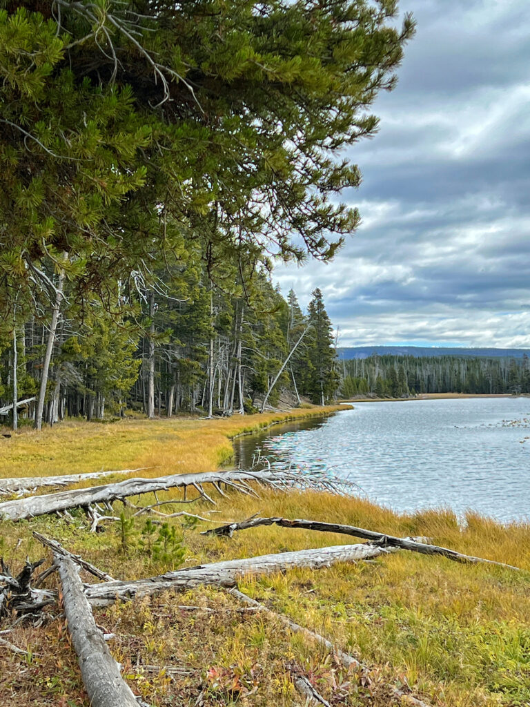 Shoreline of Riddle Lake Yellowstone Fall Basecamp