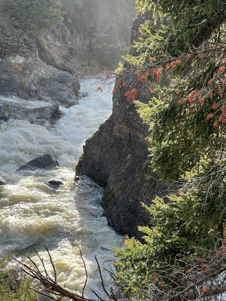 Yellowstone Magic Moment at Tower Fall 4