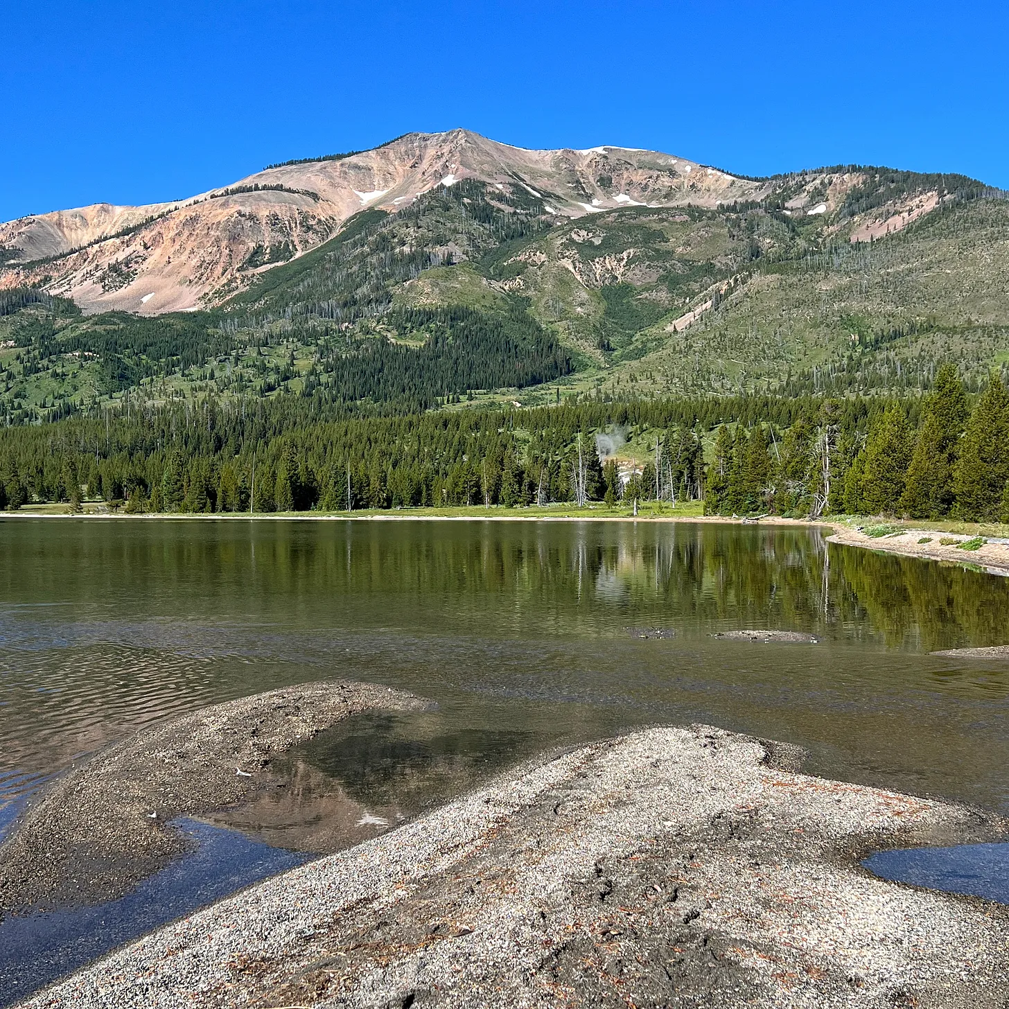 Clear view of Mount Sheridan behind a calm lake inlet with gravel bars and forested shoreline in Yellowstone National Park, under a bright blue sky.