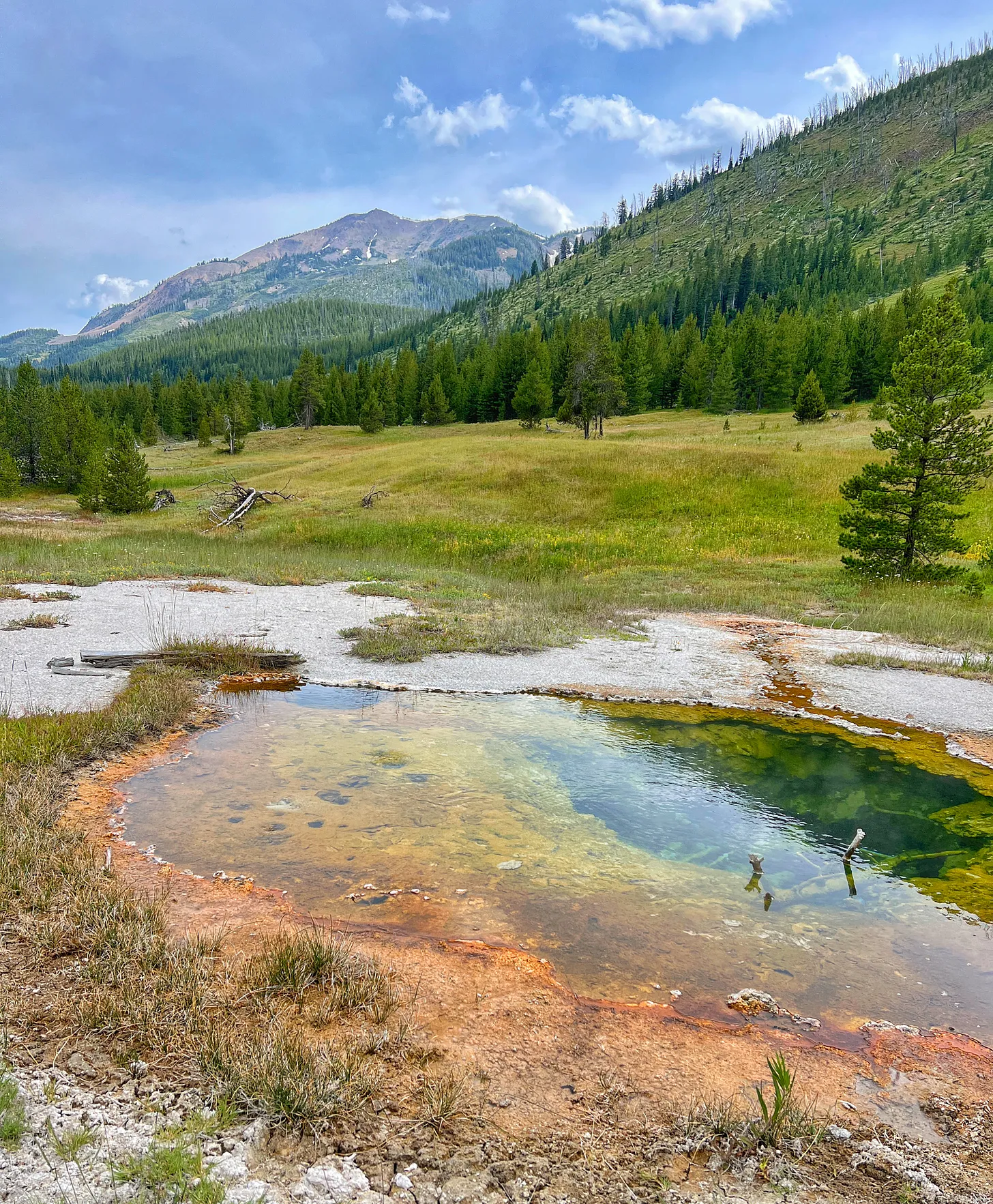 Colorful hot spring in Yellowstone’s Heart Lake Geyser Basin with orange and green mineral edges, surrounded by grassy meadows, pine forest, and mountains under a partly cloudy sky.