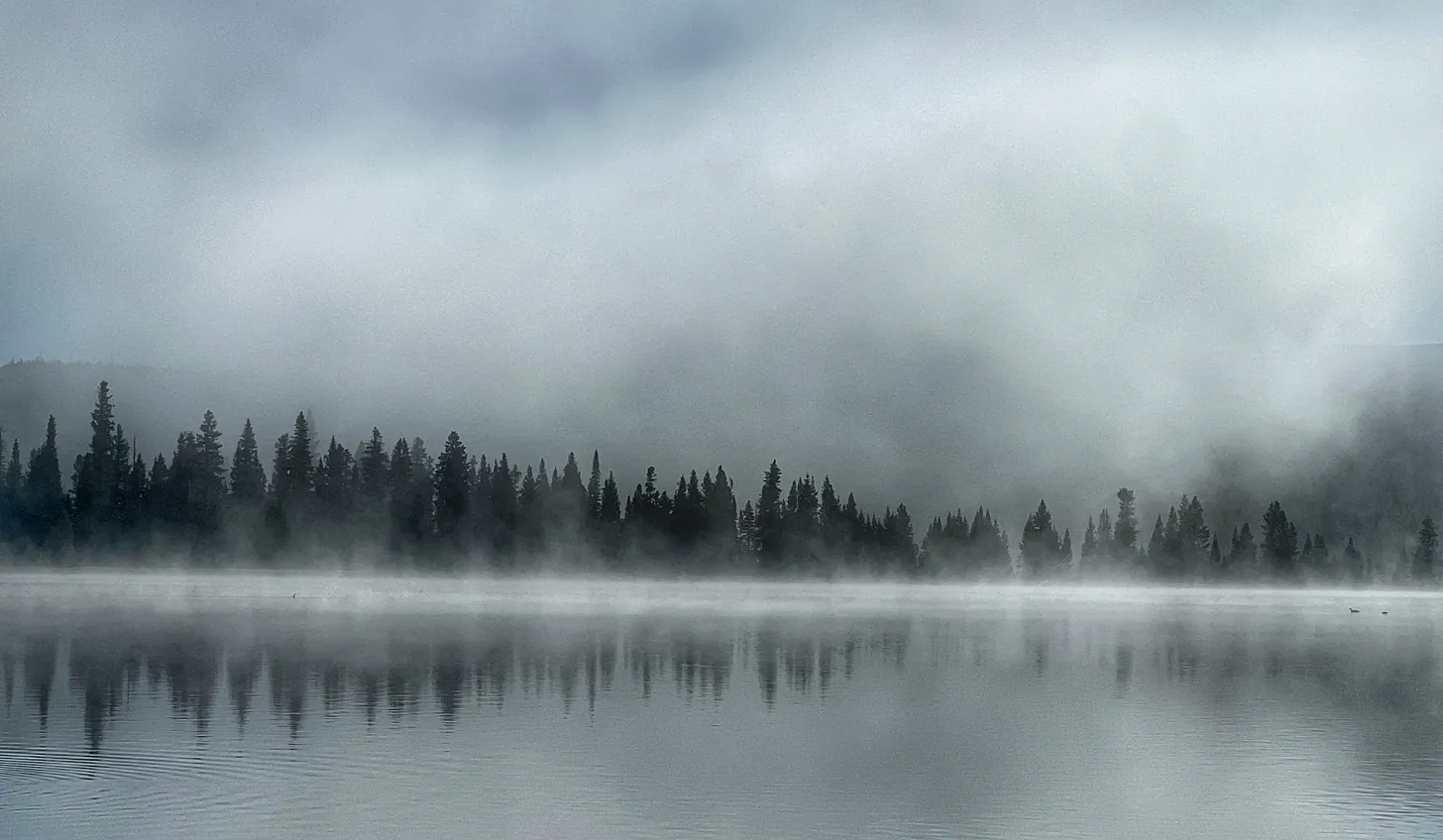 Fog drifts across a still lake in Yellowstone National Park, with pine trees silhouetted along the shoreline and reflected in the calm water.