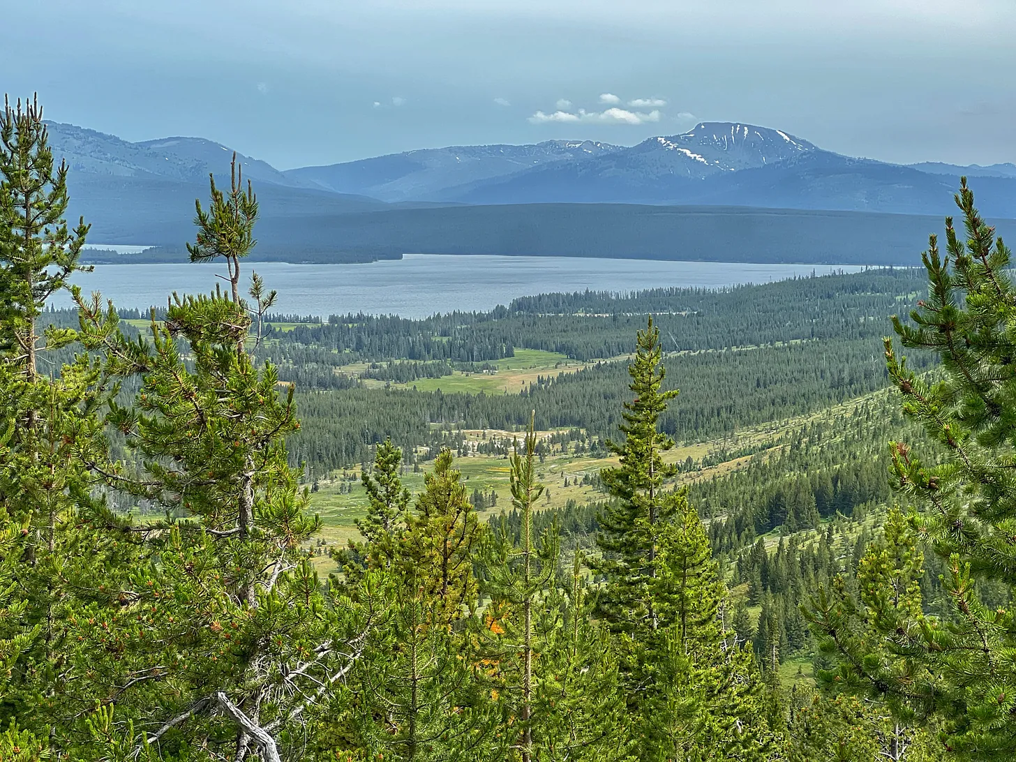 View from a high vantage point in Yellowstone National Park showing Heart Lake surrounded by green forests, with distant snow-capped mountains under a pale blue sky.