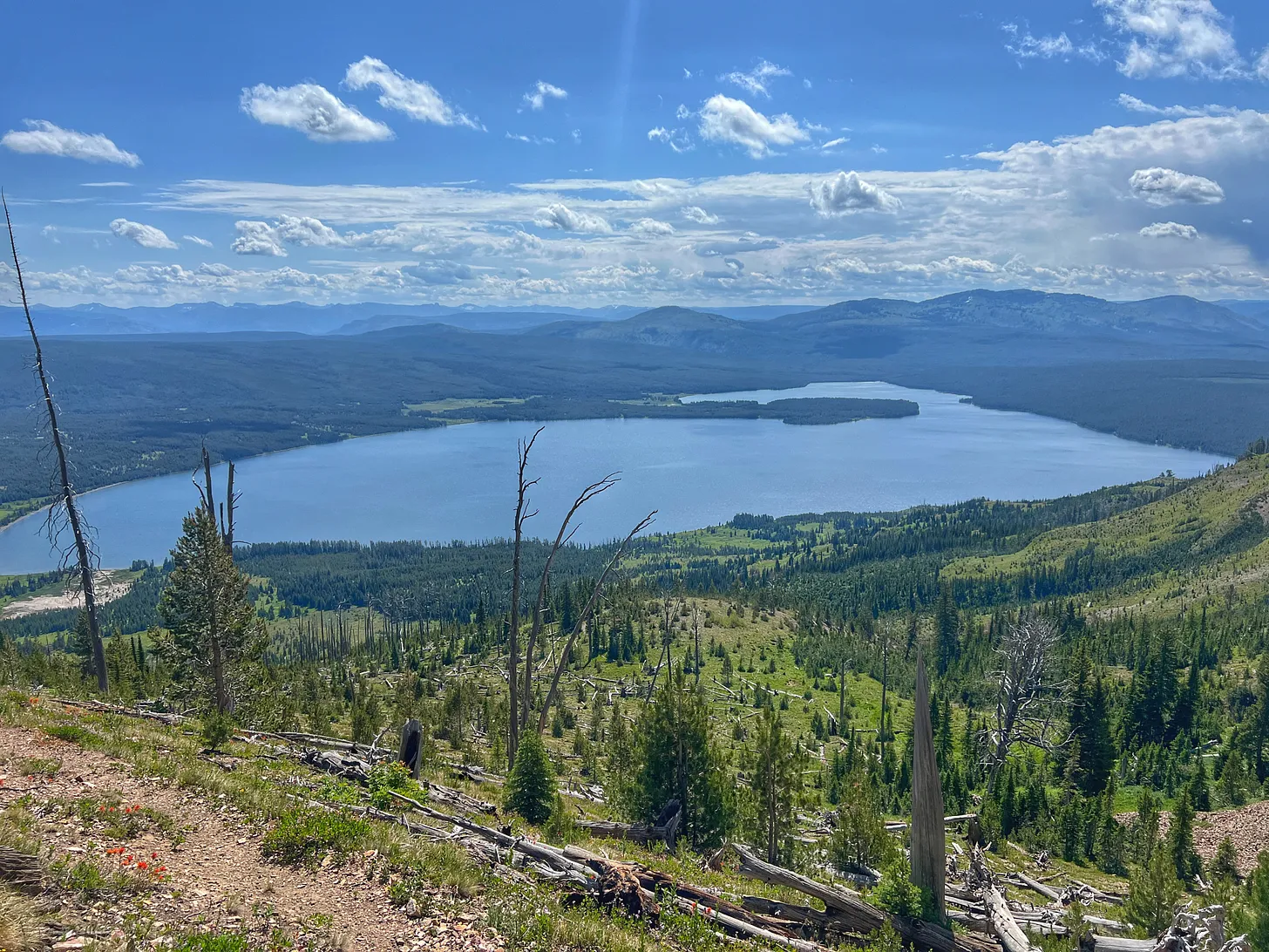 Expansive view of Heart Lake in Yellowstone National Park from a high vantage point, showing blue water, forested hills, distant mountains, and a rocky trail in the foreground with scattered fallen trees and wildflowers.