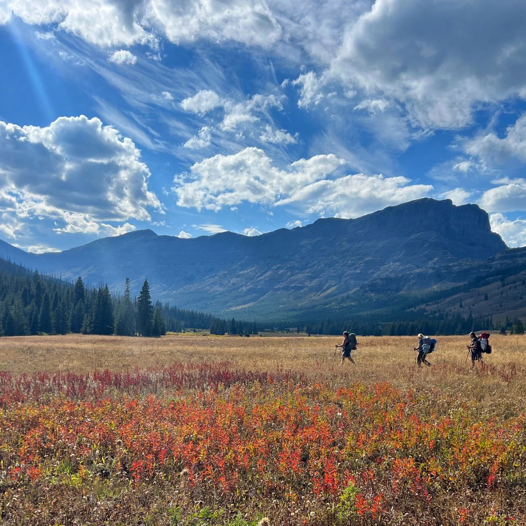 Pebble Creek Yellowstone Women Backpacking Square Image